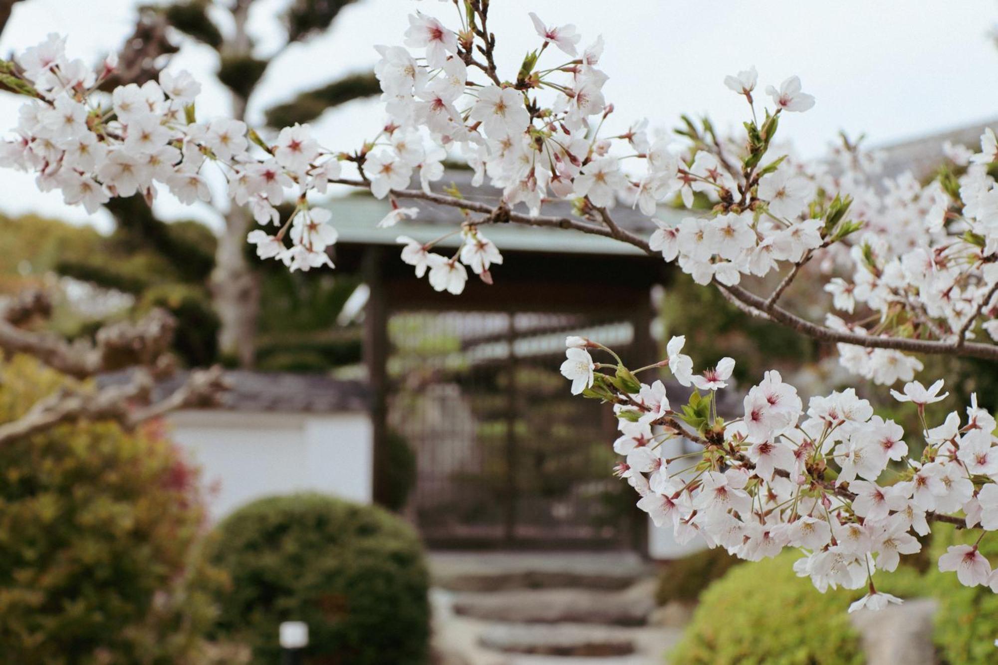 Villa Shinobi -忍- Hinase Exterior photo
